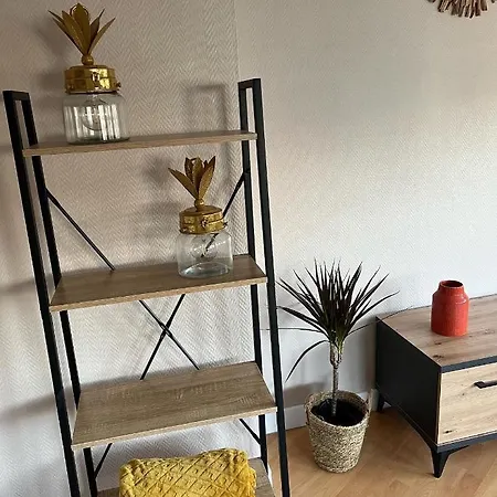 Tres Beau Studio Les Temps Heureux Situation Ideale 500m De La Fortifiee Et Proche Nausicaa Appartement