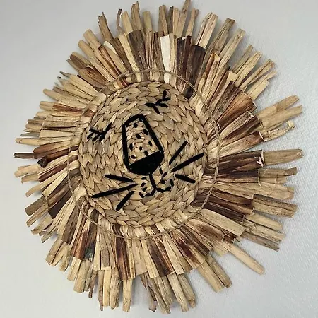 Tres Beau Studio Les Temps Heureux Situation Ideale 500m De La Fortifiee Et Proche Nausicaa