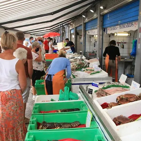 Appartement Tres Beau Studio Les Temps Heureux Situation Ideale 500m De La Fortifiee Et Proche Nausicaa Boulogne-sur-Mer